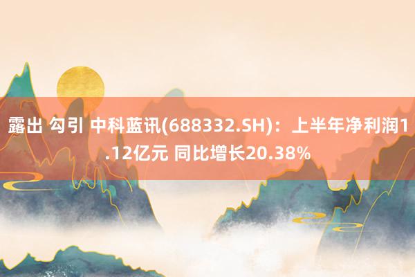 露出 勾引 中科蓝讯(688332.SH)：上半年净利润1.12亿元 同比增长20.38%