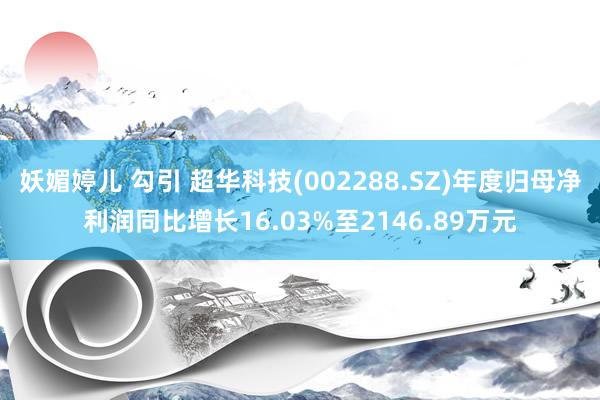 妖媚婷儿 勾引 超华科技(002288.SZ)年度归母净利润同比增长16.03%至2146.89万元