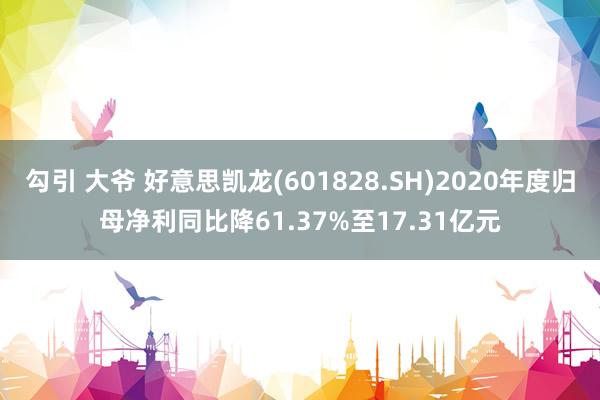 勾引 大爷 好意思凯龙(601828.SH)2020年度归母净利同比降61.37%至17.31亿元