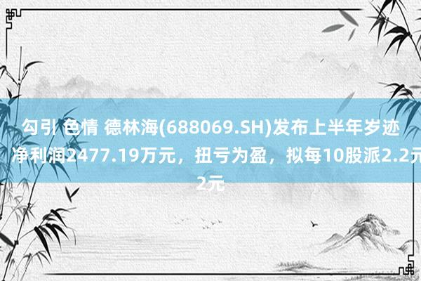 勾引 色情 德林海(688069.SH)发布上半年岁迹，净利润2477.19万元，扭亏为盈，拟每10股派2.2元