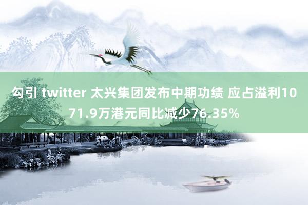 勾引 twitter 太兴集团发布中期功绩 应占溢利1071.9万港元同比减少76.35%