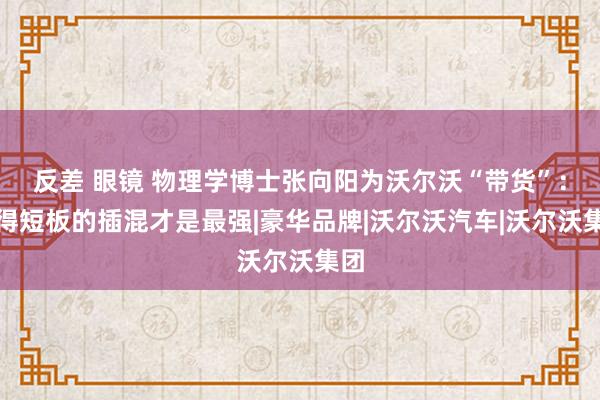 反差 眼镜 物理学博士张向阳为沃尔沃“带货”：莫得短板的插混才是最强|豪华品牌|沃尔沃汽车|沃尔沃集团